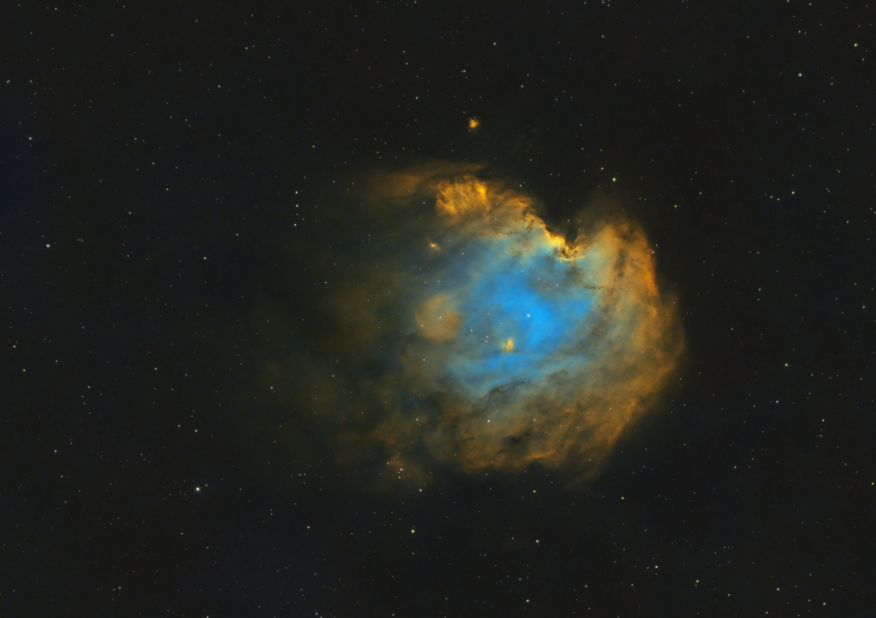 Monkey head nebula